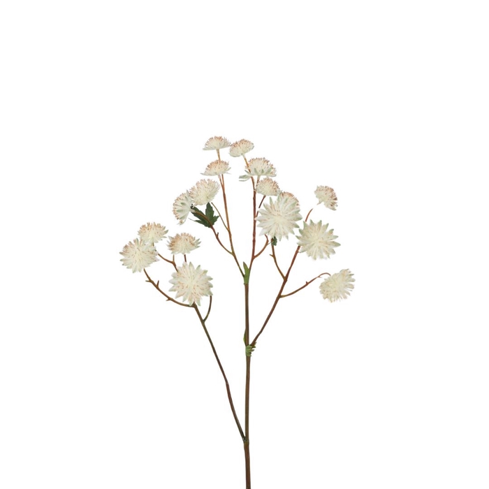 <h4>Artificial flowers Astrantia 62cm</h4>