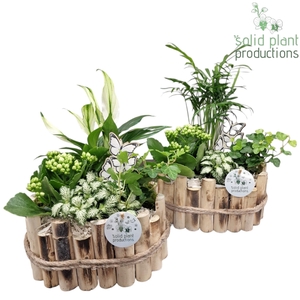 HSC003 Bologna Small White Mix