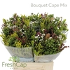 Bouquet Cape Mix
