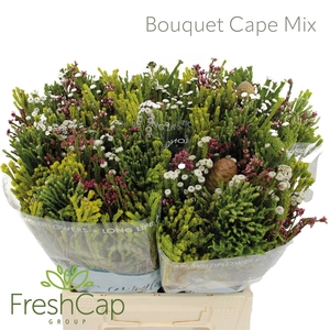 Bouquet Cape Mix