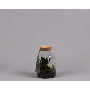 Green Bottle met Arrangement.