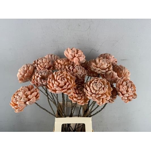 Stick Shola Artichoke Ø12 Salm