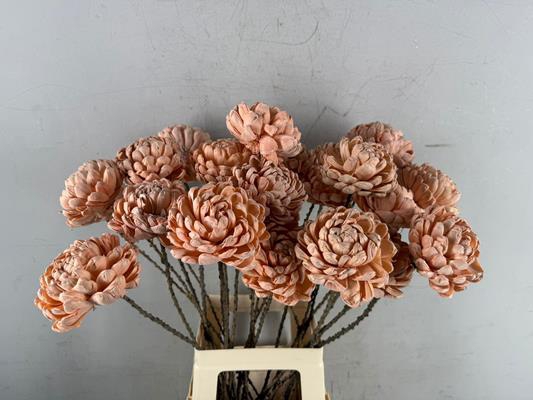 <h4>Stick Shola Artichoke Ø12 Salm</h4>