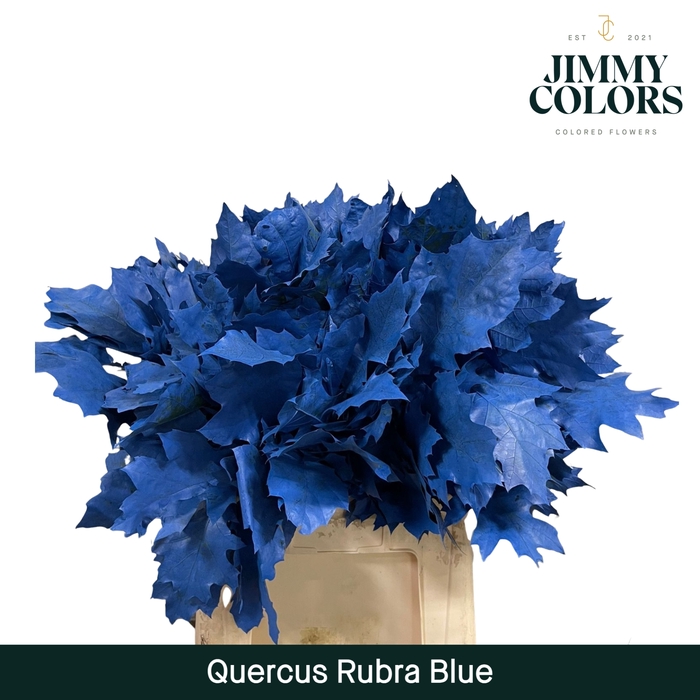 <h4>Quercus Rubra L60 Blue</h4>