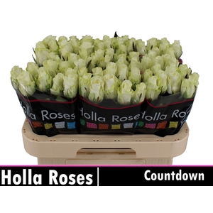 R GR COUNTDOWN!