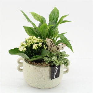 ESCR-2539W Essentials