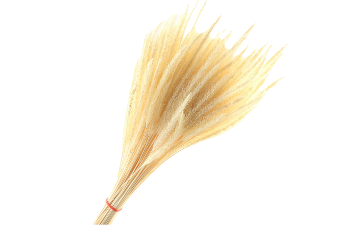 Soft Worms Grass White Bleached