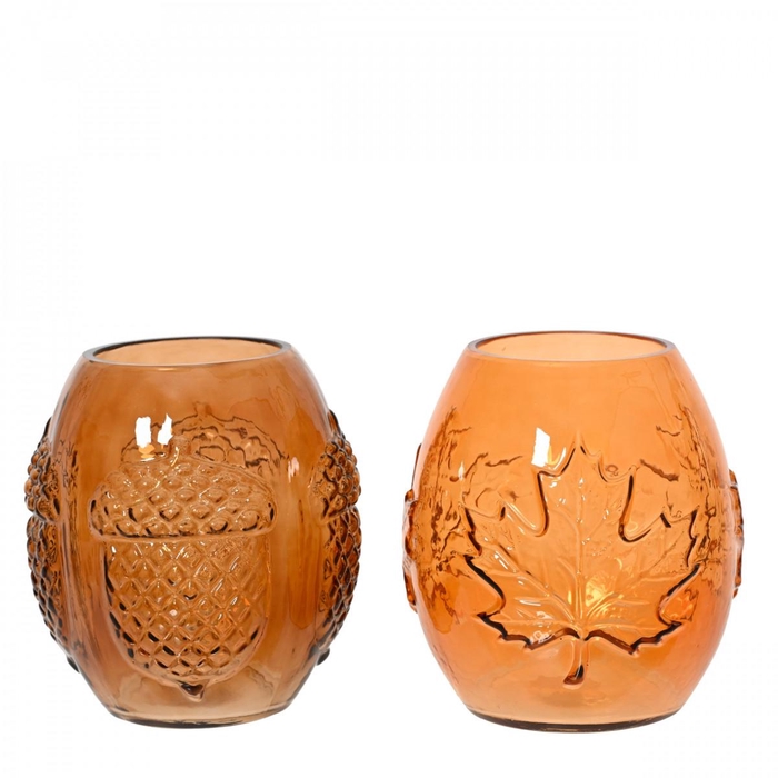<h4>Herfst Theelicht Autumn d16.5*18cm ass.</h4>