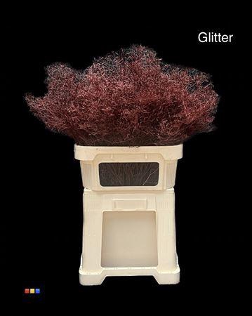 <h4>Limonium Bordeaux + Glitter Bio</h4>