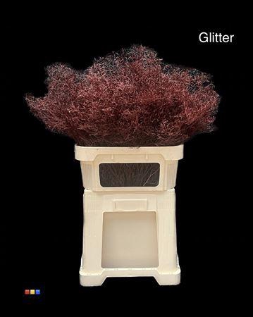 <h4>Limonium Bordeaux + Glitter Bio</h4>