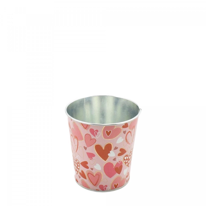 <h4>Valentijn Zink Alove pot d10*10cm</h4>