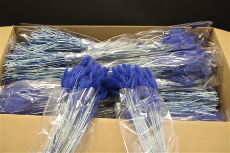 <h4>Lagurus Dark Blue X30</h4>
