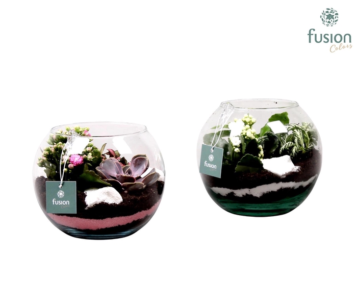 <h4>Vissenkom van glas met Arrangement</h4>