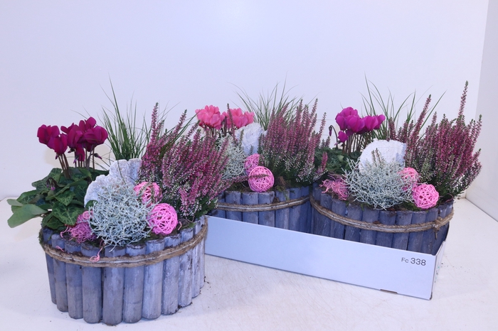 <h4>ARR TUINPLANTEN</h4>