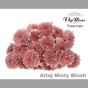 CHR T ALTAJ MISTY BLUSH