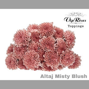 CHR T ALTAJ MISTY BLUSH
