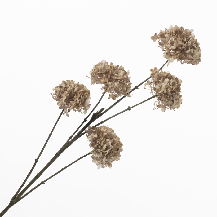 <h4>Viburnum Spray x5 Brown FL440408BRN</h4>