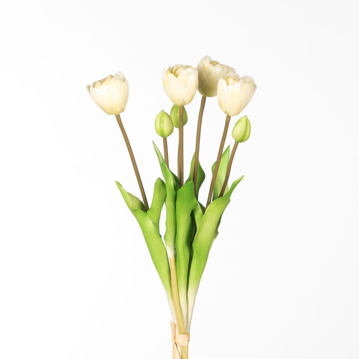 <h4>AF Tulip Db Bnd x7 L44cm White</h4>