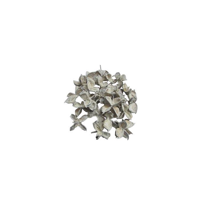 <h4>Cotton Pods 150g</h4>
