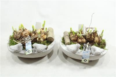 <h4>21023 OVAAL VOGELSCHAAL TETE</h4>