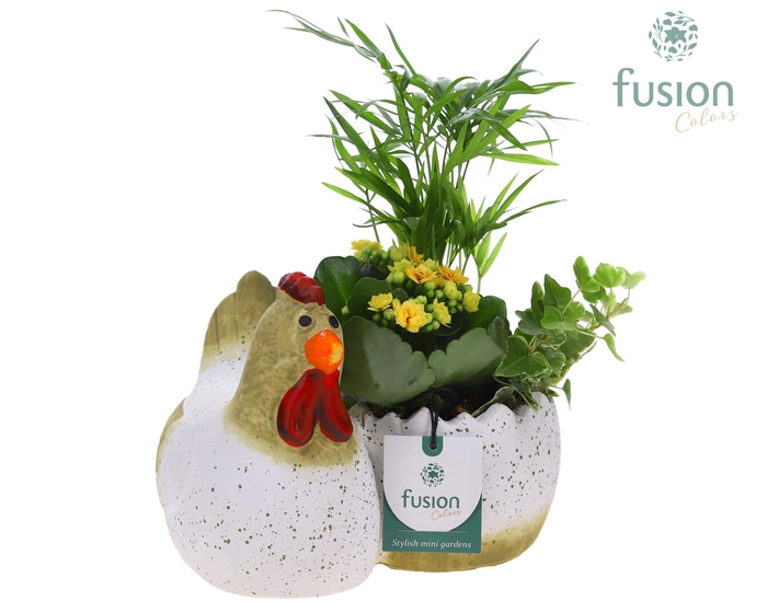 <h4>Kip keramiek Pasen met arrangement</h4>