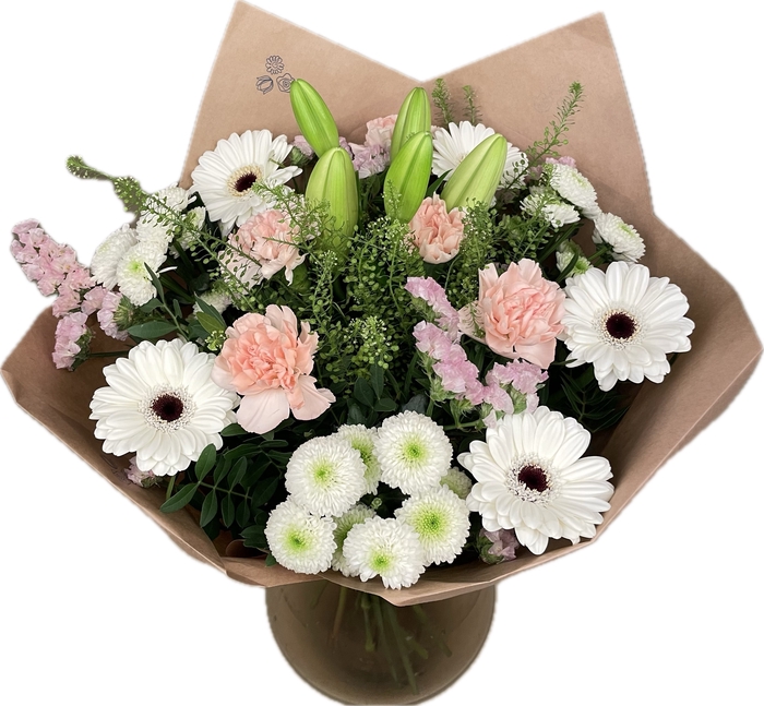 Bq Volume Voltage Salmon L