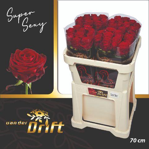 <h4>R GR RED NAOMI!</h4>
