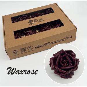 Zijde Wax-Rozen Zijde Wax  Bordeaux