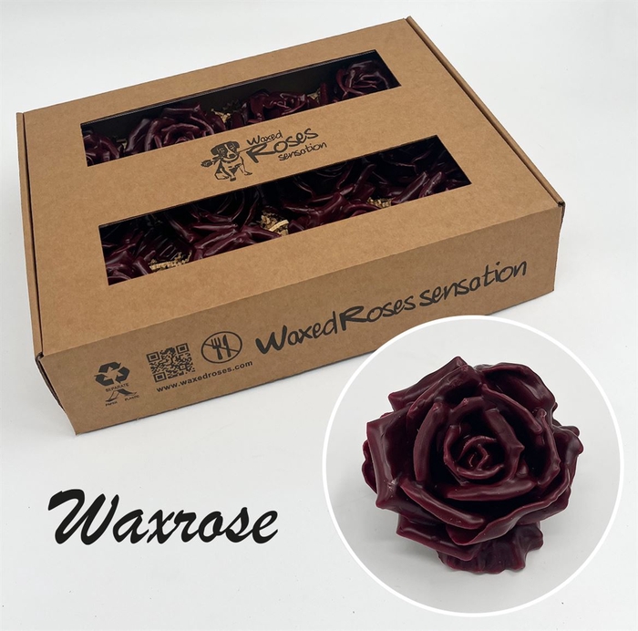 <h4>Zijde Wax-Rozen Zijde Wax  Bordeaux</h4>
