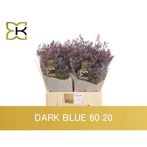 LIM SAF DARK BLUE