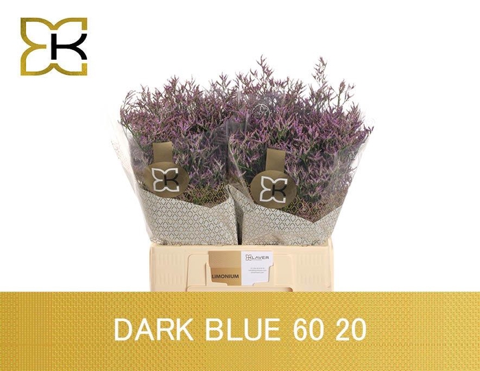 <h4>LIM SAF DARK BLUE</h4>