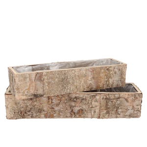 Nature Birch Planter Rectangle S/2 30x8x7 / 45x12x9cm