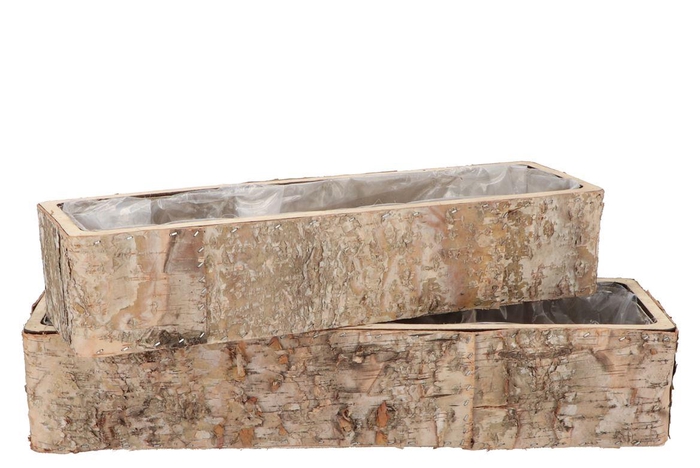 Nature Birch Planter Rectangle S/2 30x8x7 / 45x12x
