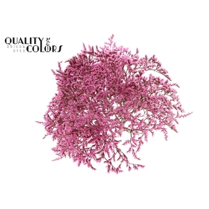 Limonium Tataricum per bunch Pink