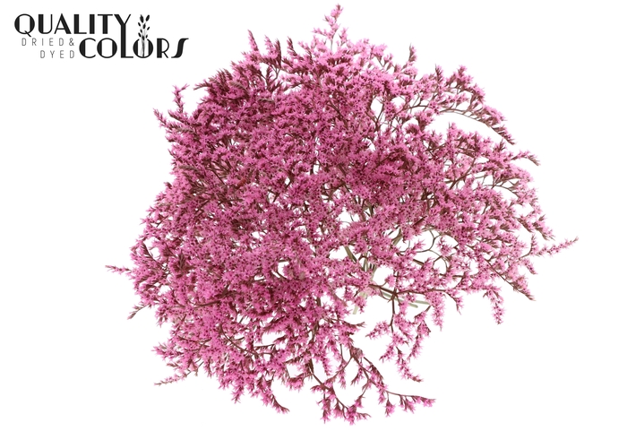 <h4>Limonium Tataricum per bunch Pink</h4>