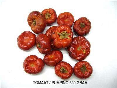 <h4>DROOG SOLANUM TOMAAT</h4>