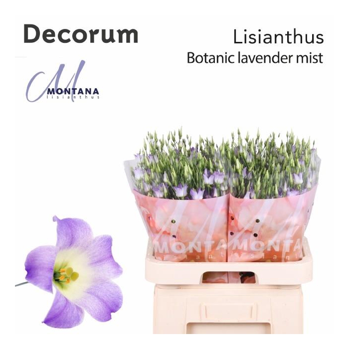 <h4>Eus E Botan Lav Mist</h4>