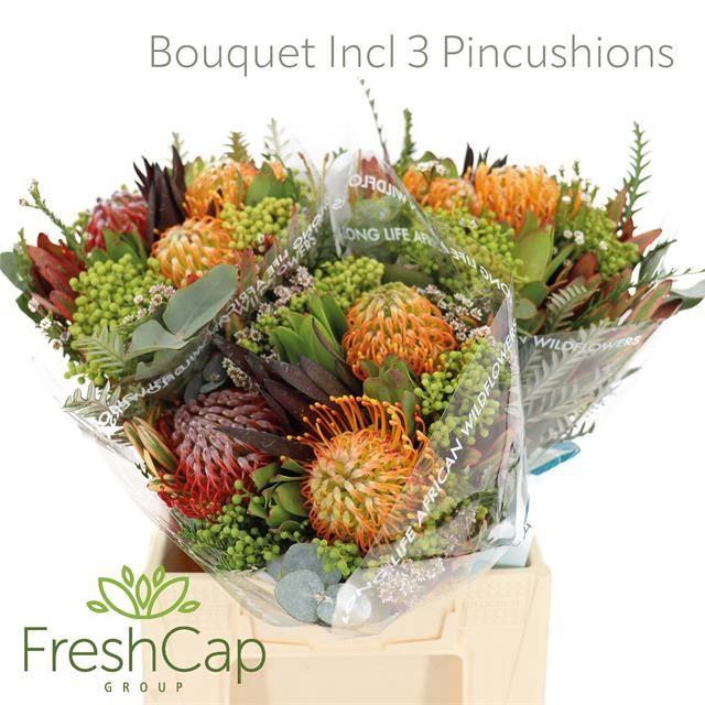 <h4>KAAPS GROE GEM IN BS</h4>