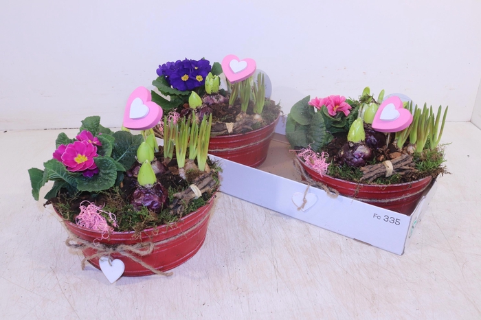 <h4>ARR TUINPLANTEN</h4>