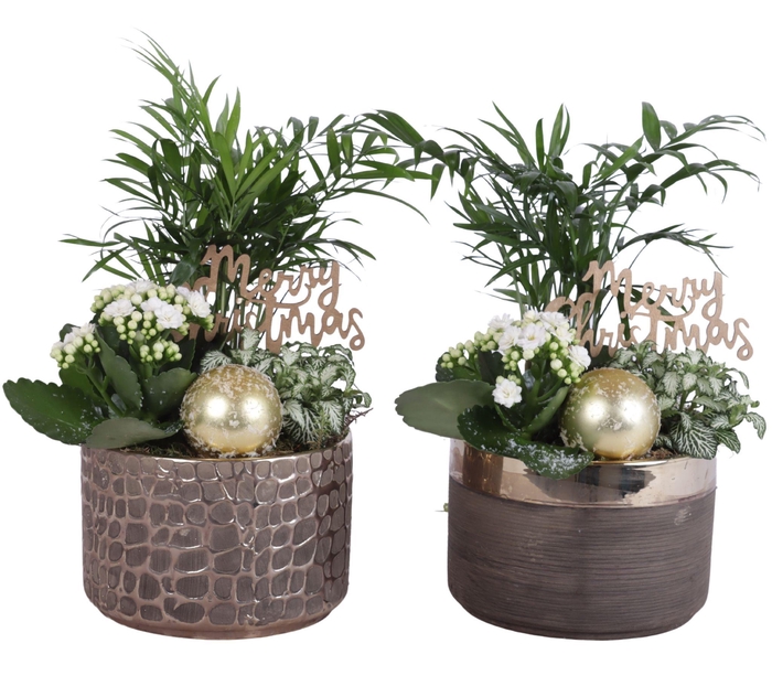 <h4>Christmas Arr. Indoor Ceramic Pure Luxury N568 Ø17</h4>