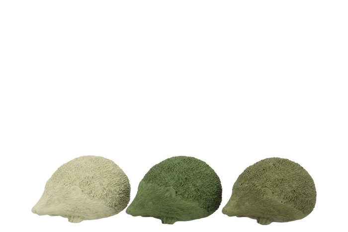 <h4>Hedgehog Green Mix Polystone Ass 15x10x7cm Nm</h4>