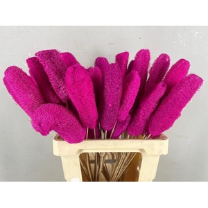 Stick Luffa Pink