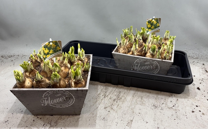 <h4>ARR N TETE A TETE</h4>