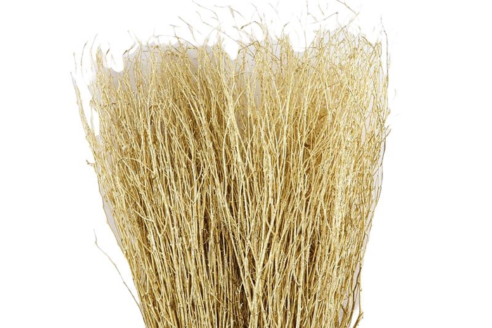 <h4>Berk Klb Gold</h4>