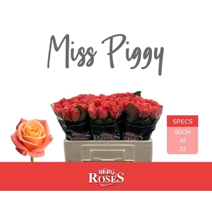 R Gr Miss Piggy