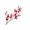 Prunus Cerise