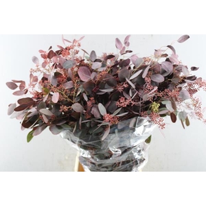 Deco Gr Euc Po Fruit Rood Klb