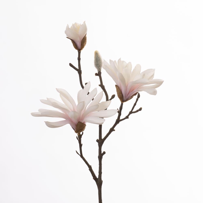 <h4>Af Magnolia L47cm Cream/pink</h4>