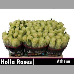 R GR ATHENA