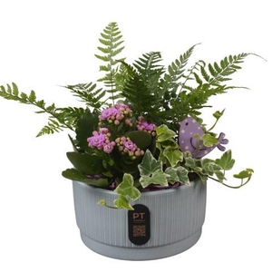 PTIB5114 Arrangement Indoor in keramiek schaal